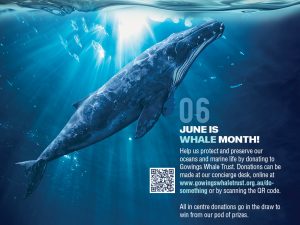 Whale month