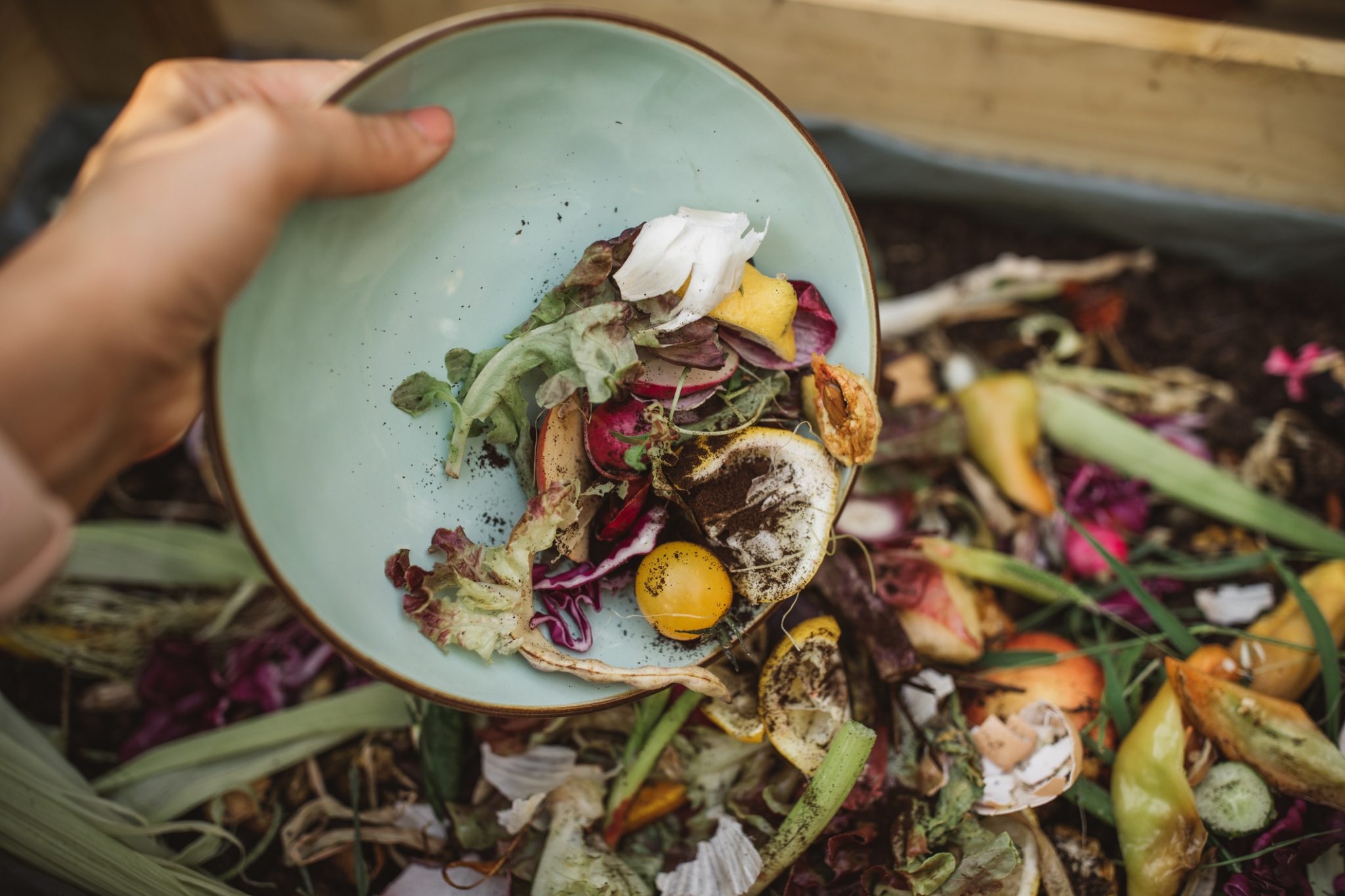 CLOSING THE LOOP ON FOOD WASTE AT COFFS CENTRAL